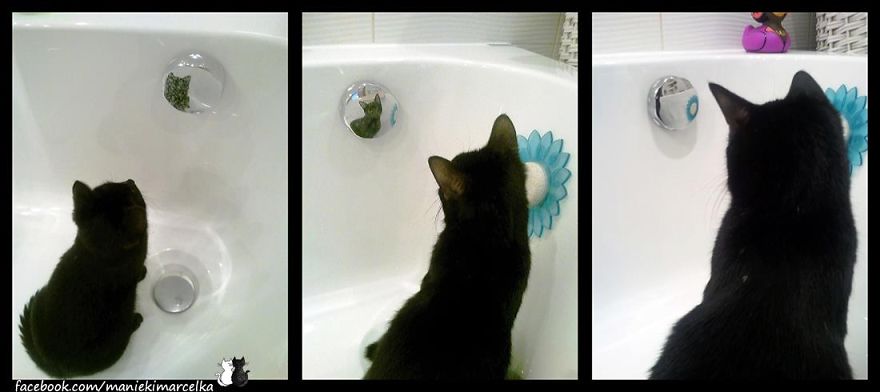 Maniek, Now Bigger But Always The Same :)