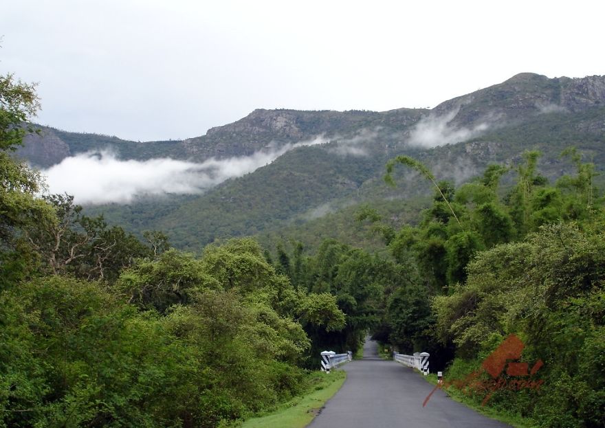 Masinagudi, Tamil Nadu, India