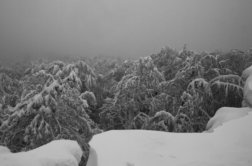 Nad Stromy, Sninsky Kamen, Slovakia