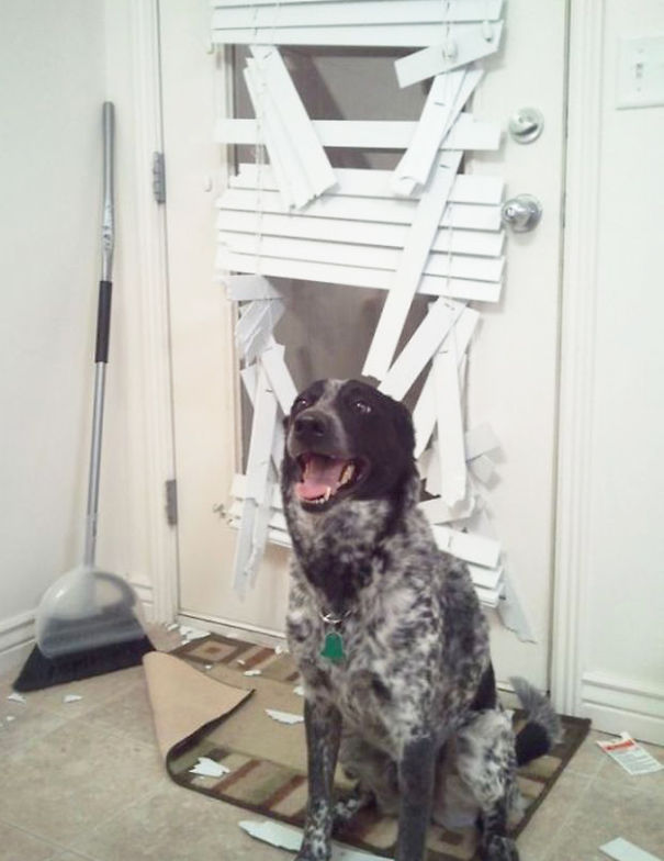 I Broke This Cause I Love You