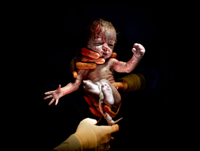 Photographer Takes Portraits Of Babies Seconds After Birth