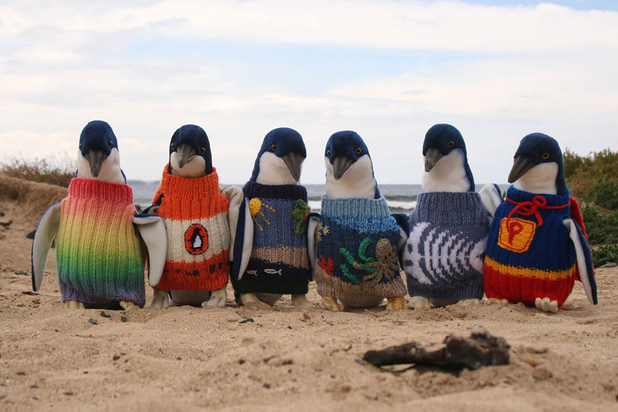 oldest-man-australia-knits-penguin-sweaters-1 oldest-man-australia-knits-penguin-sweaters-1