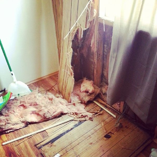 Only Gone For A Half Hour...