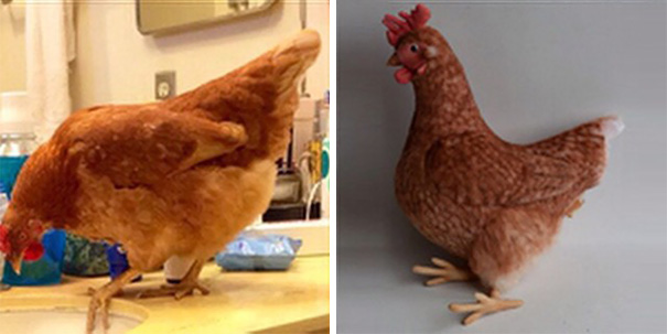 pet-copy-custom-plush-toys-cuddle-clones-13