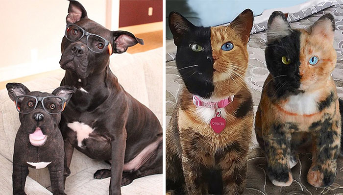 This Company Makes Exact Plush Toy Copies Of Your Pets