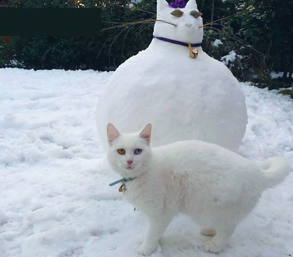 Seriously, Who Did This?