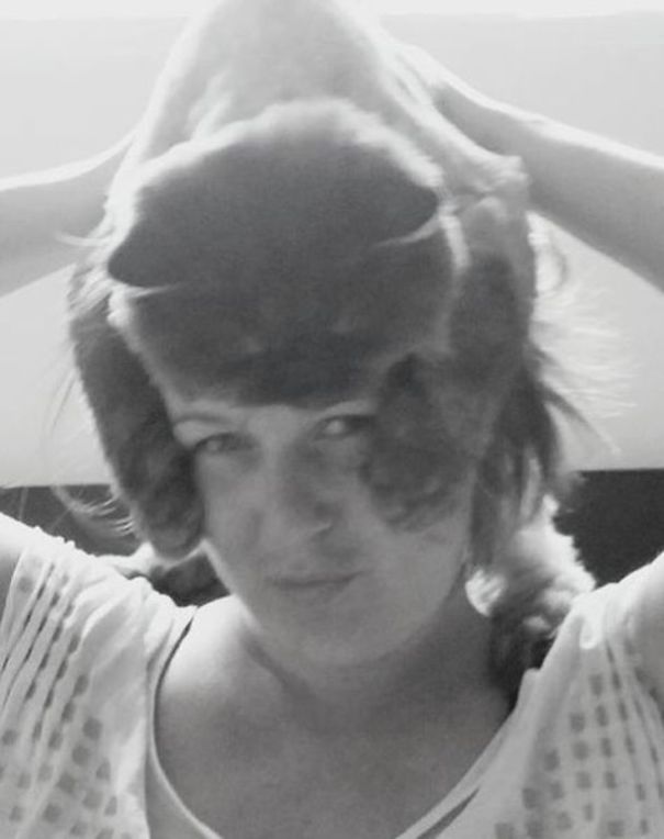 Pichicho, The Persian Cat, Makes A Fashionable Statement!!!