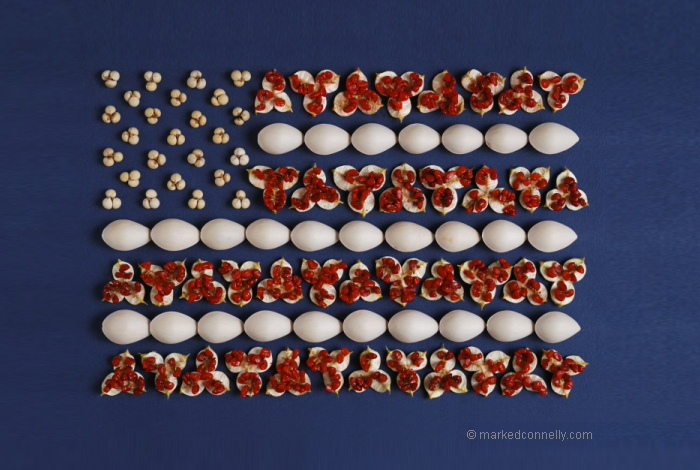 seeds-seedpod-photography-mark-connelly-16 seeds-seedpod-photography-mark-connelly-16