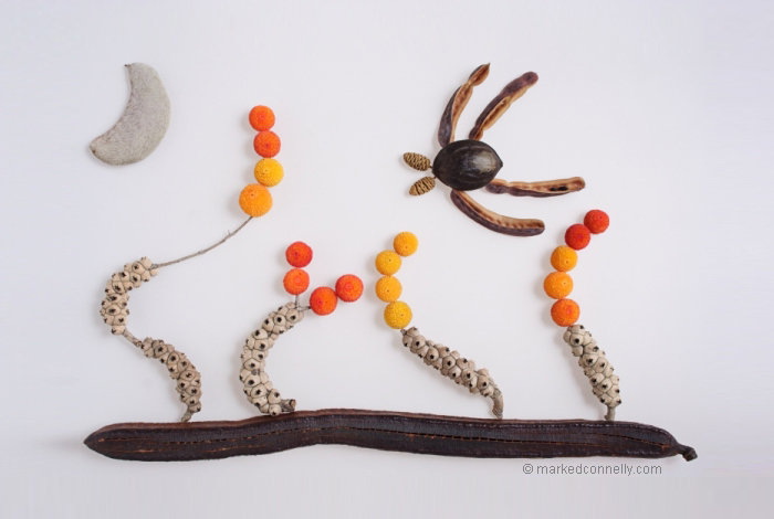 seeds-seedpod-photography-mark-connelly-19 seeds-seedpod-photography-mark-connelly-19