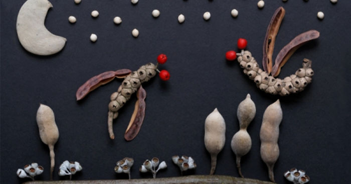 I Use Seeds to Create Faces, Insects, Flags And Abstract Pictures