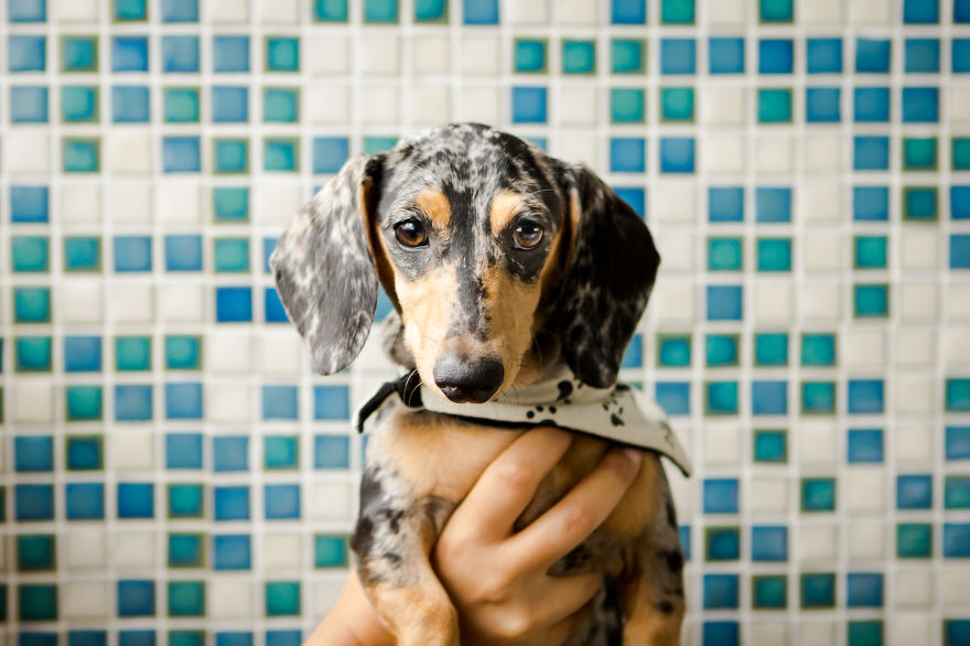 My Photos Of Our Best Friends To Fill Your Hearts With Love