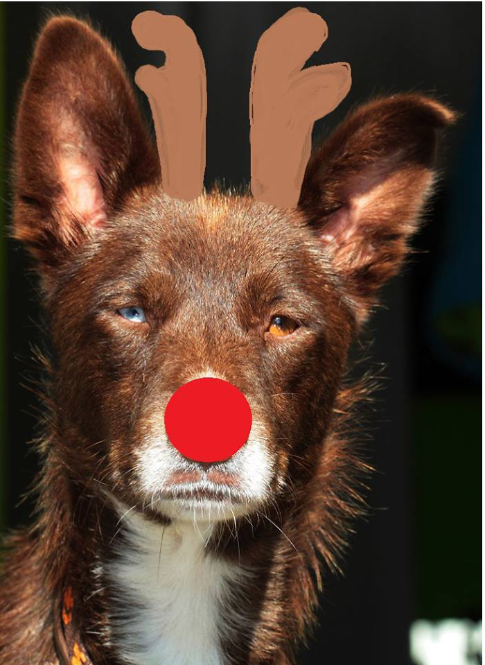 And The Winner Is... Sepia!