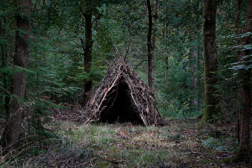 Artist Has Spent 7 Years Turning UK Forests Into Works Of Art