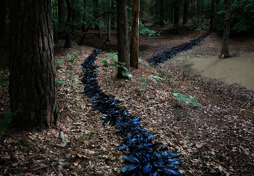 Artist Has Spent 7 Years Turning UK Forests Into Works Of Art