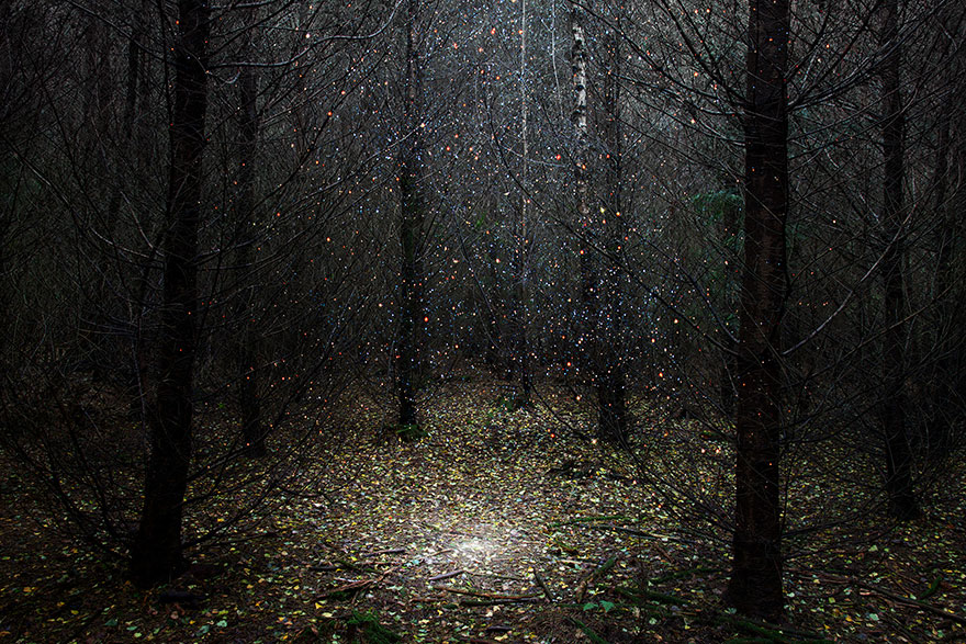 Artist Has Spent 7 Years Turning UK Forests Into Works Of Art