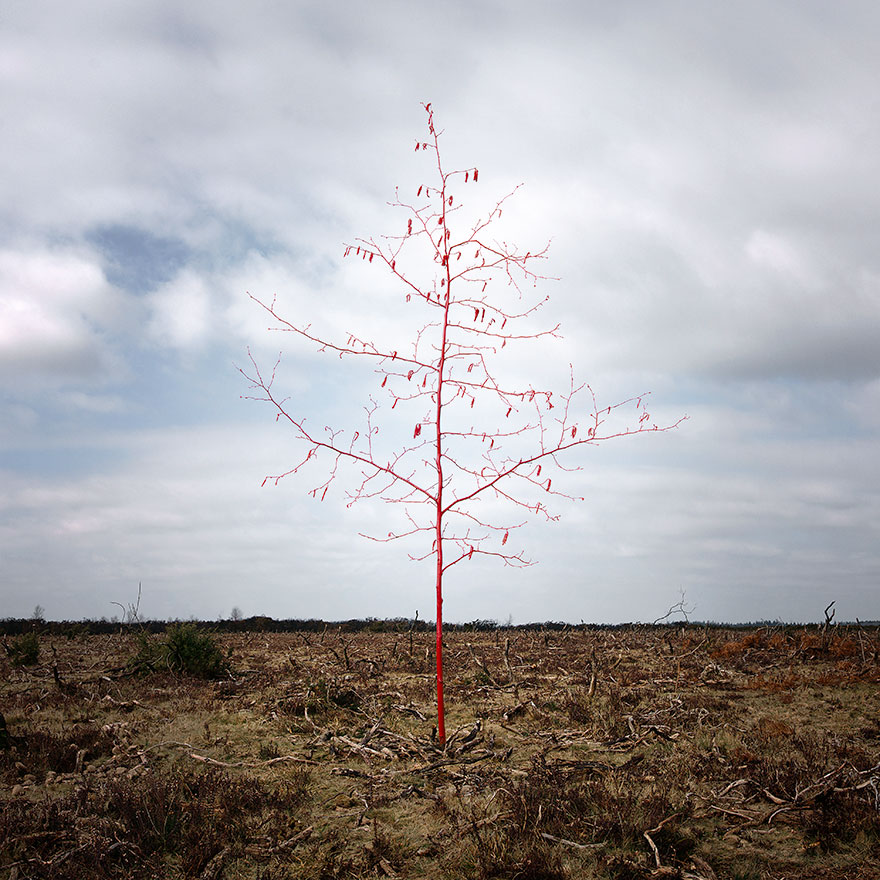 Artist Has Spent 7 Years Turning UK Forests Into Works Of Art Artist Has Spent 7 Years Turning UK Forests Into Works Of Art