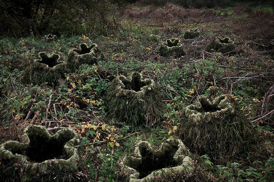 Artist Has Spent 7 Years Turning UK Forests Into Works Of Art