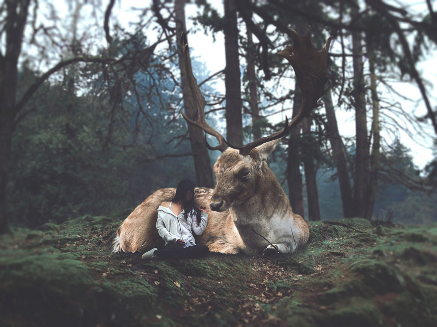 surreal-photo-manipulations-omerika-5