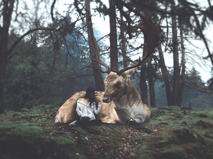 Welcome To My Whimsical World