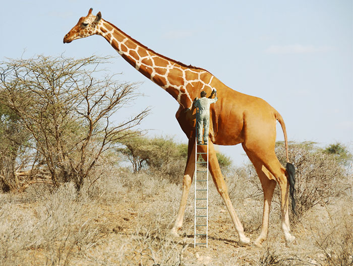 Playful Photo Manipulations By Indian Artist Anil Saxema