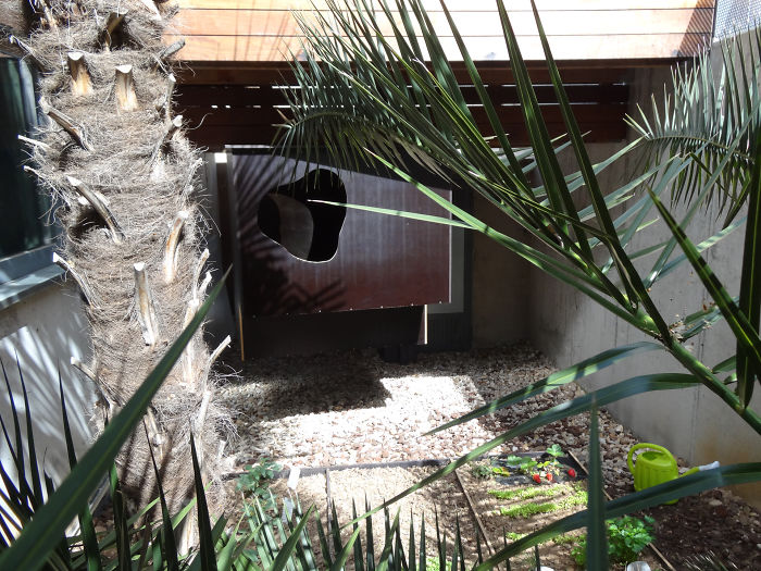 The Treeless Treehouse By Hollegha Arquitectos, Madrid