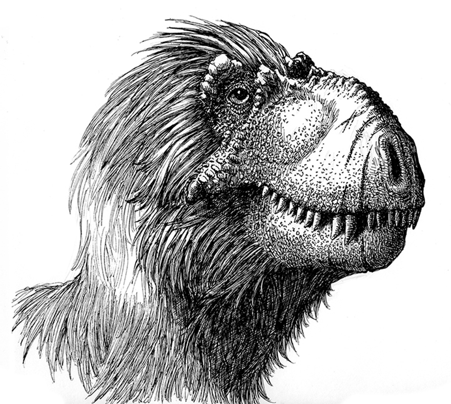 Tyrannosaur Post-bath