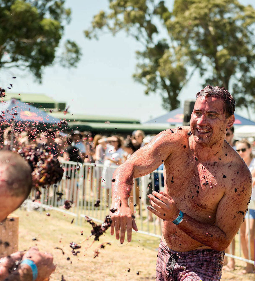 Throwing Of The Grape Festival (Australia)