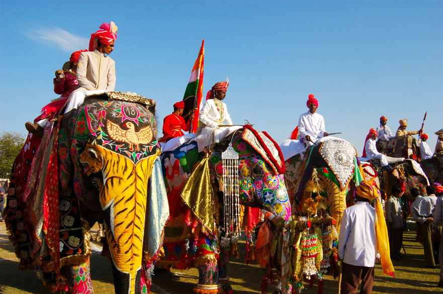 Jaipur Elephant Festival (India)