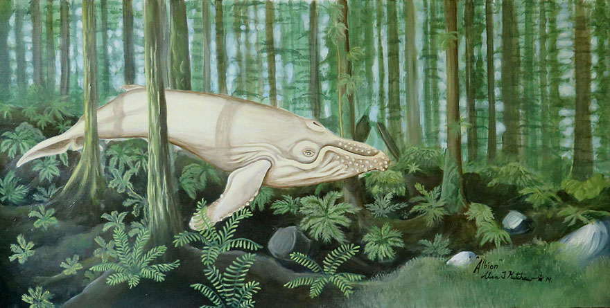 whale-paintings-alicia-kutchaw-1 whale-paintings-alicia-kutchaw-1