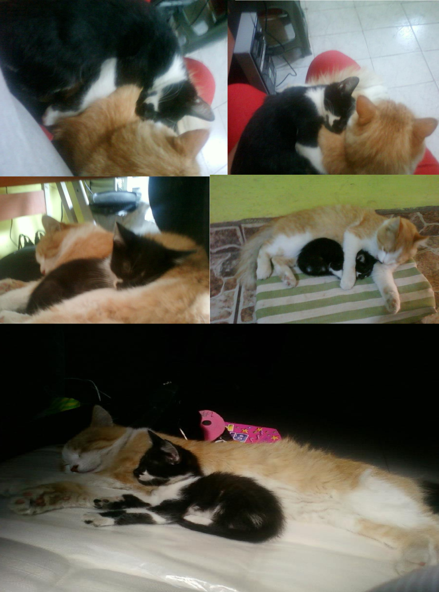 Then And Now Through Months