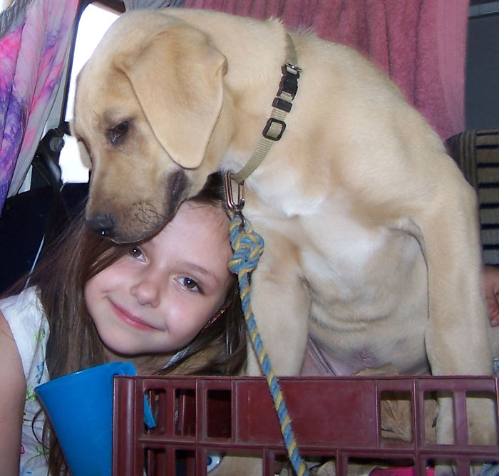 A Huge New Puppy For A Six Year Old