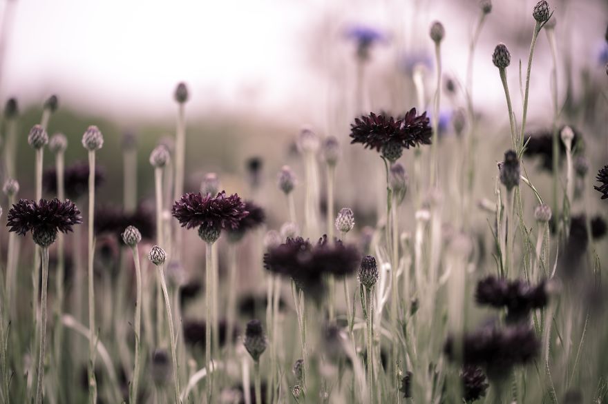 I Challenged Myself To Express Emotions With Landscape Photography