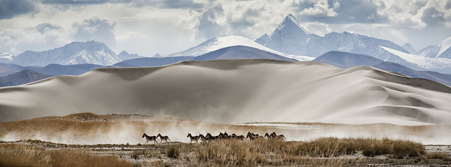 Earth Temples: My Journey Through The Silent Places Of The World Earth Temples: My Journey Through The Silent Places Of The World