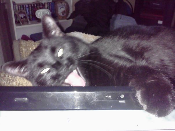 Stop Taking Pictures Of Me!!!