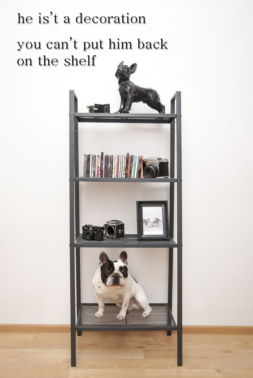 Don't Use, Love: I Created A Project To Remind People That Pets Are Not Things