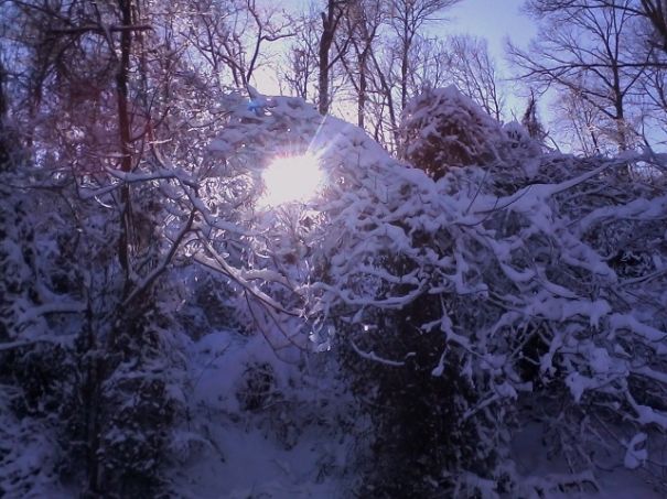 Beautiful Snow Photos