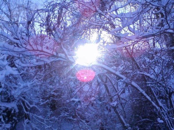 Beautiful Snow Photos