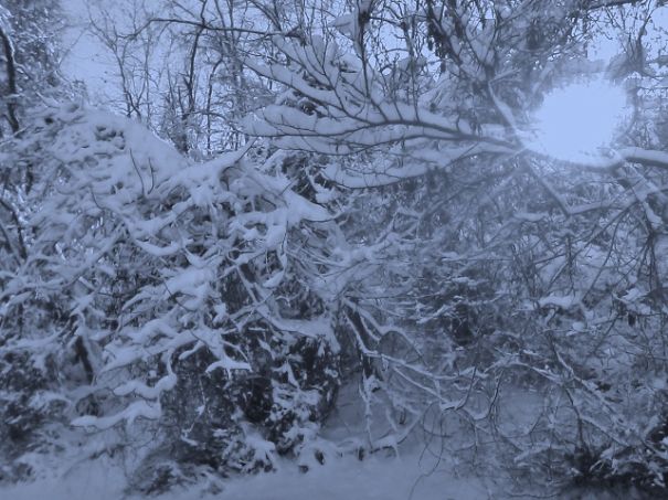 Beautiful Snow Photos