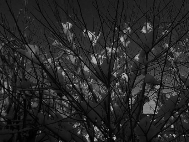 Beautiful Snow Photos