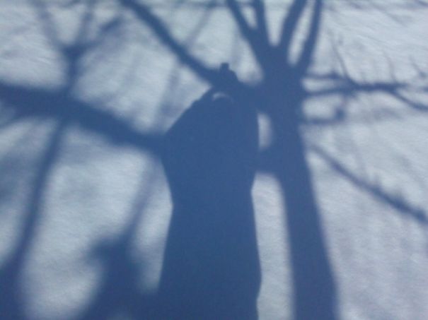 Beautiful Snow Photos