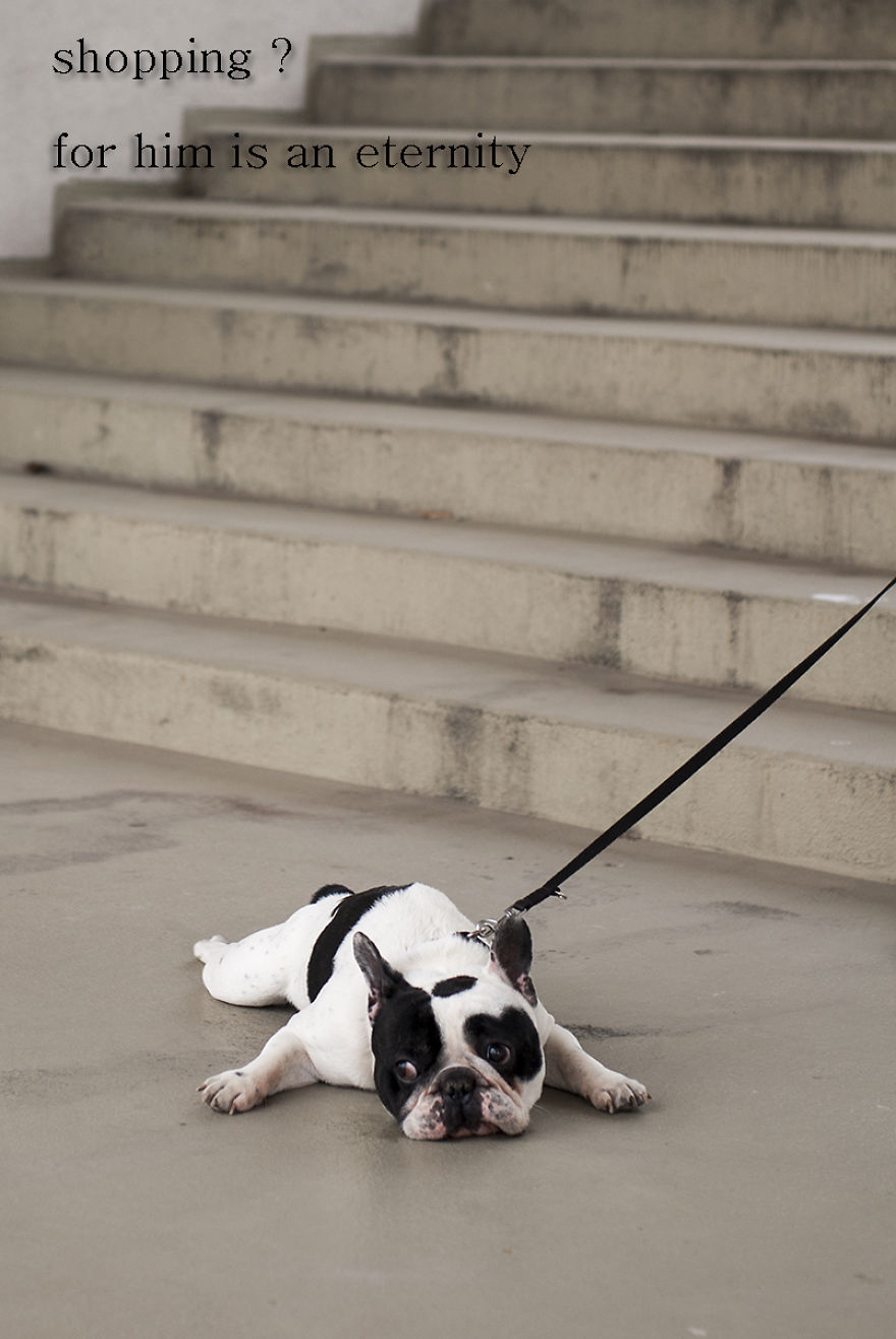 Don't Use, Love: I Created A Project To Remind People That Pets Are Not Things Don't Use, Love: I Created A Project To Remind People That Pets Are Not Things