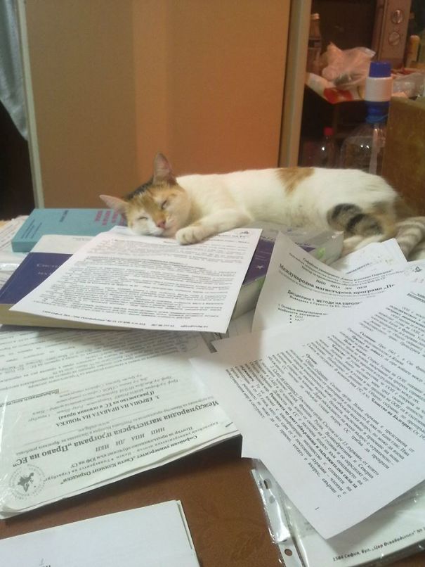 Schroedinger And The Higher Education