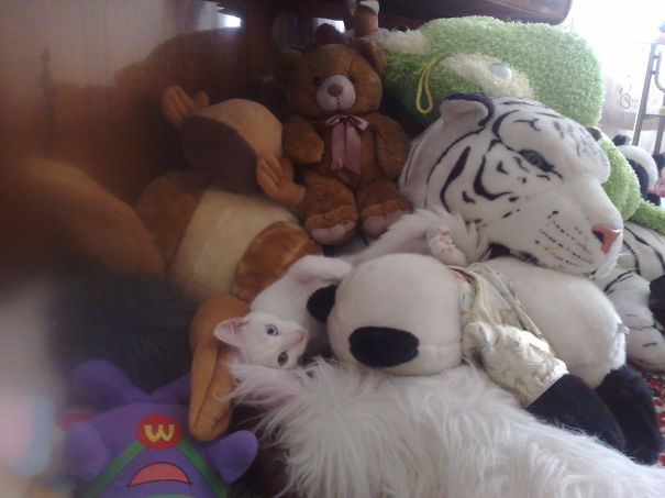 Dante's Watching You