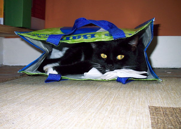 Patience. Patience Will Pay.