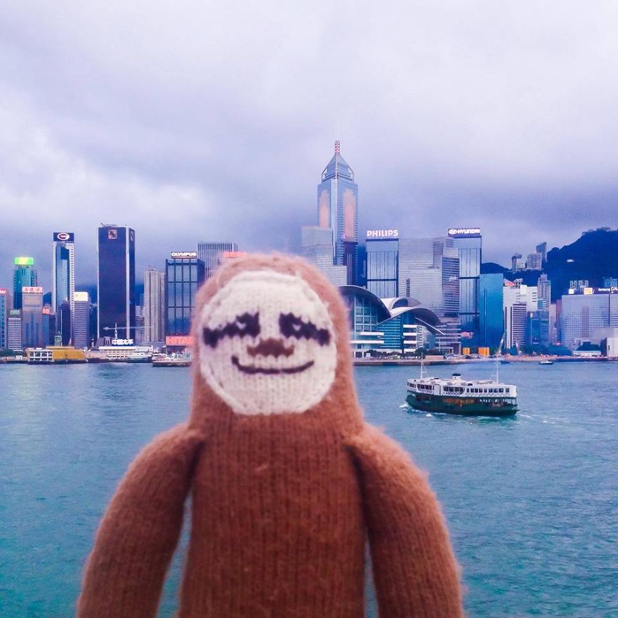 Meet Super Sloth: The Worlds Most Famous Woolen Adventurer Meet Super Sloth: The Worlds Most Famous Woolen Adventurer