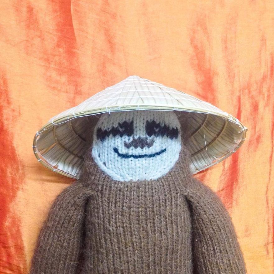 Meet Super Sloth: The Worlds Most Famous Woolen Adventurer
