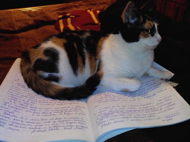 Her Old Habits Will Never Die!