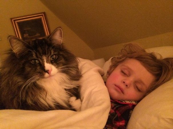 A Boy And His Watch-cat