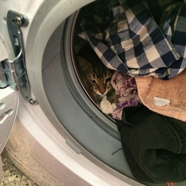 Laundrycat