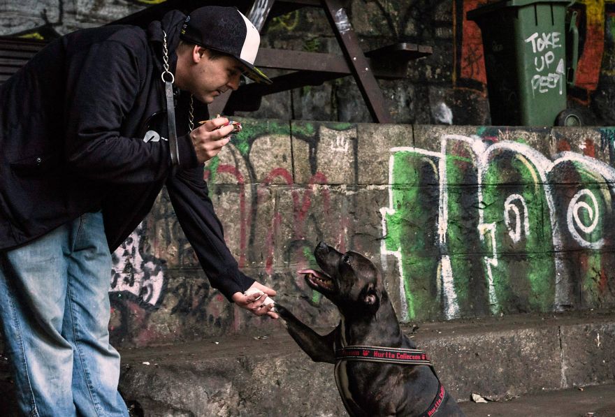 Cuties Not Bullies Cuties Not Bullies